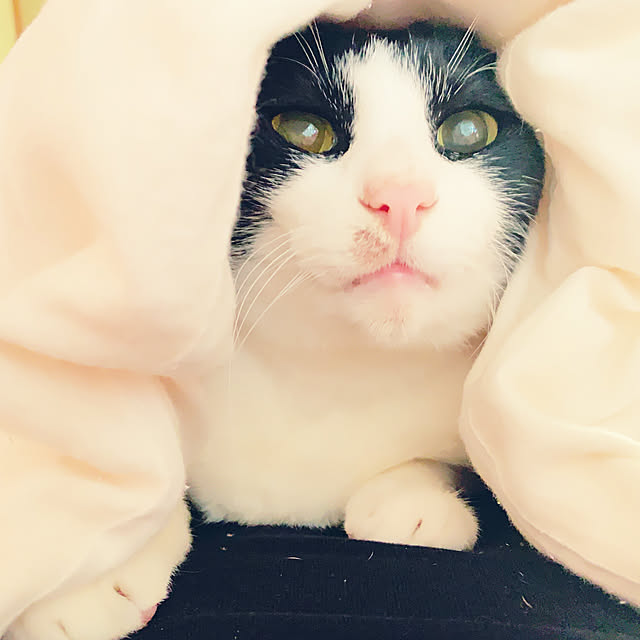 brbrnknkさんの実例写真