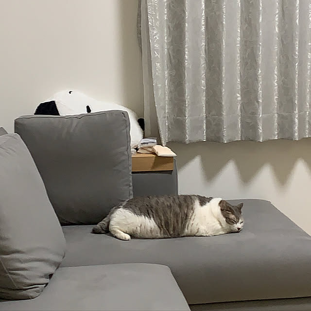 64peko96さんの実例写真