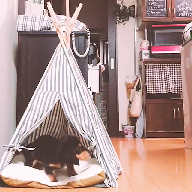 Ayaさんの実例写真