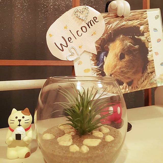 papanさんの実例写真