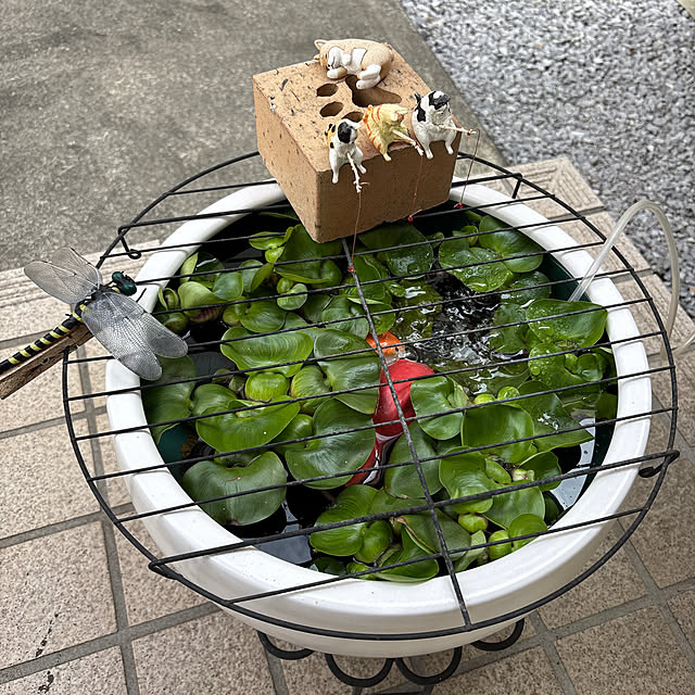 Kさんの実例写真
