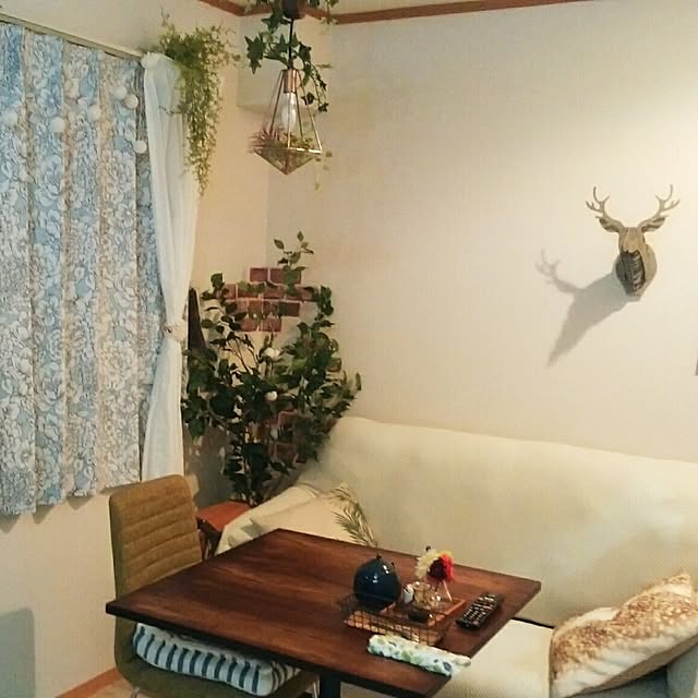kanaさんの実例写真