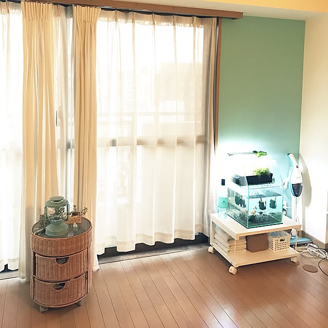 部屋全体/水槽/金魚/かご/レグラスポニックスのインテリア実例 - 2017-01-11 16:49:08