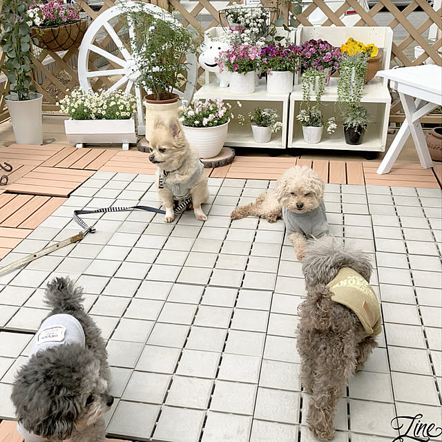 chocomamaさんの実例写真