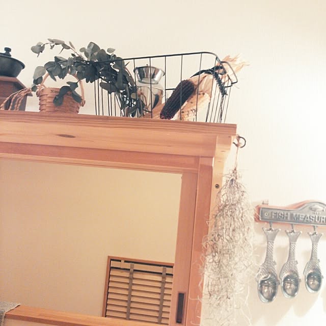 mapleさんの実例写真