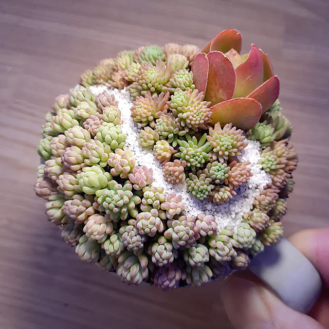 amtさんの実例写真