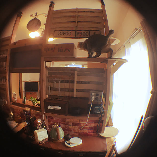 Mさんの実例写真