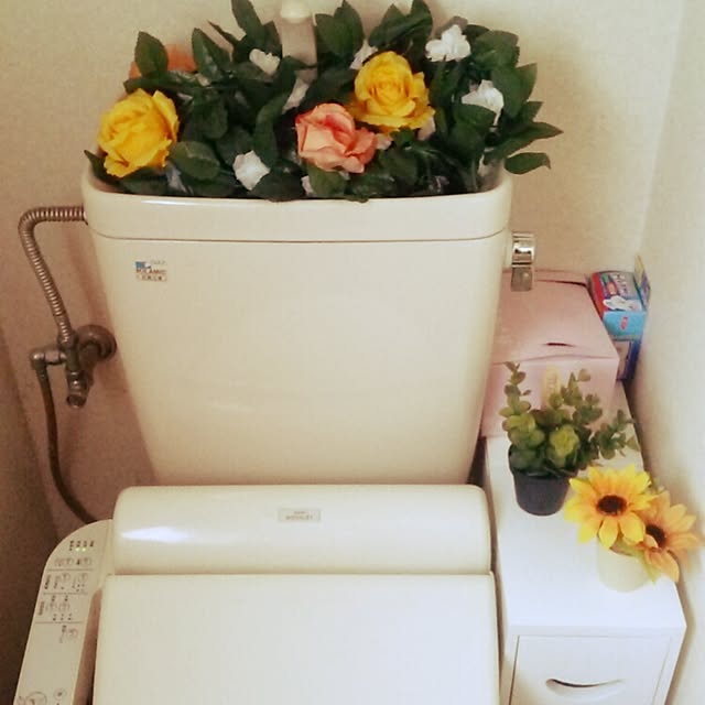 Tomopさんの実例写真