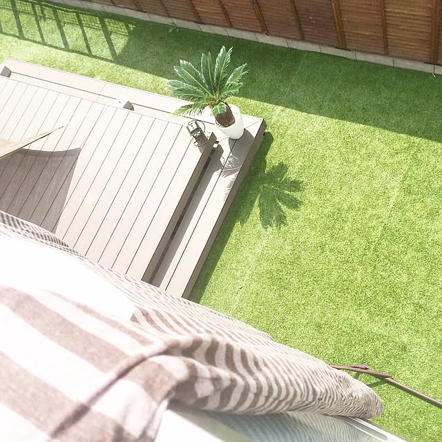 shioさんの実例写真