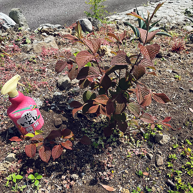 kabu10さんの部屋