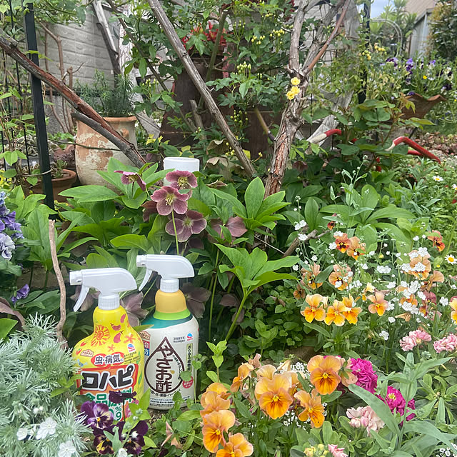 na-chanさんの部屋