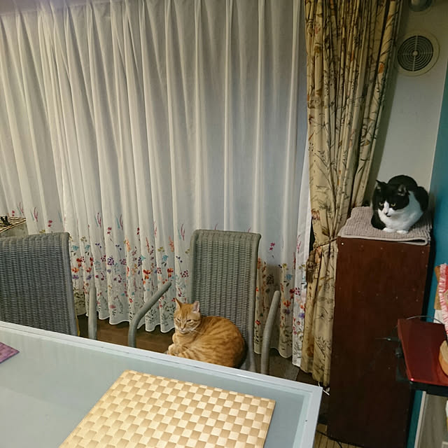 okyosan101さんの実例写真