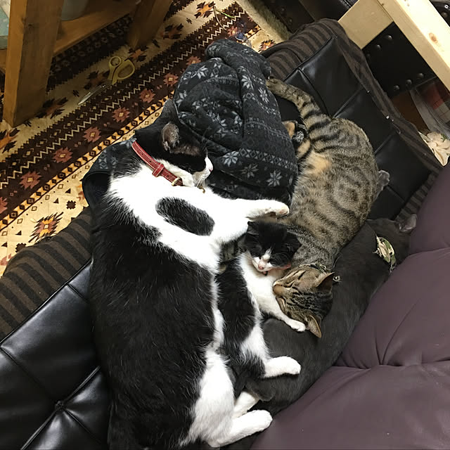 kmakkyiさんの実例写真