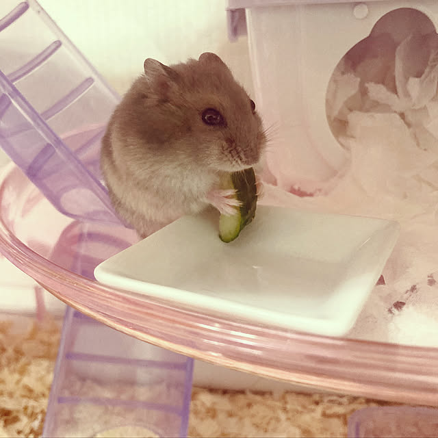 milkさんの実例写真