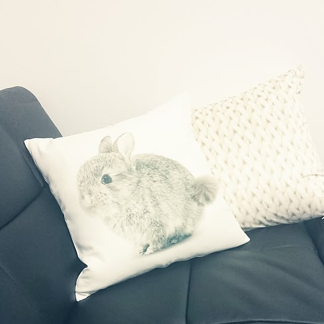 soramameさんの実例写真