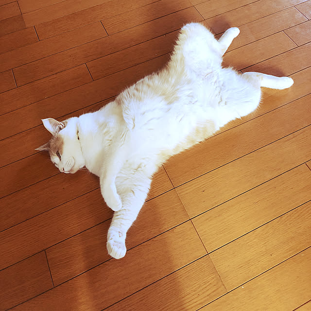 naworinさんの実例写真