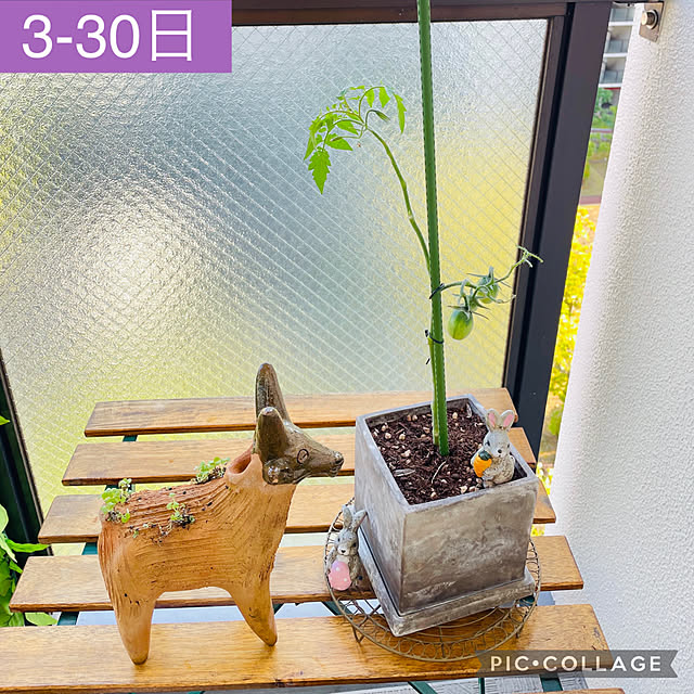 aureaさんの実例写真