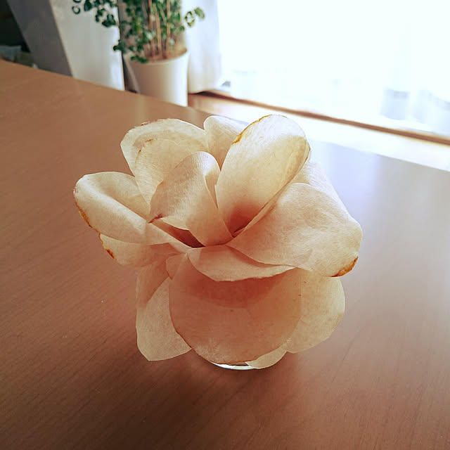 riechocolateさんの実例写真