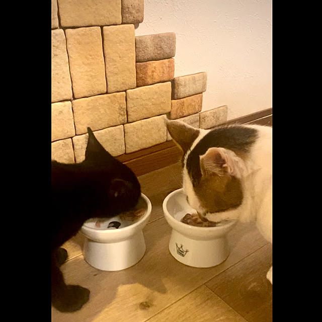 butachanさんの実例写真