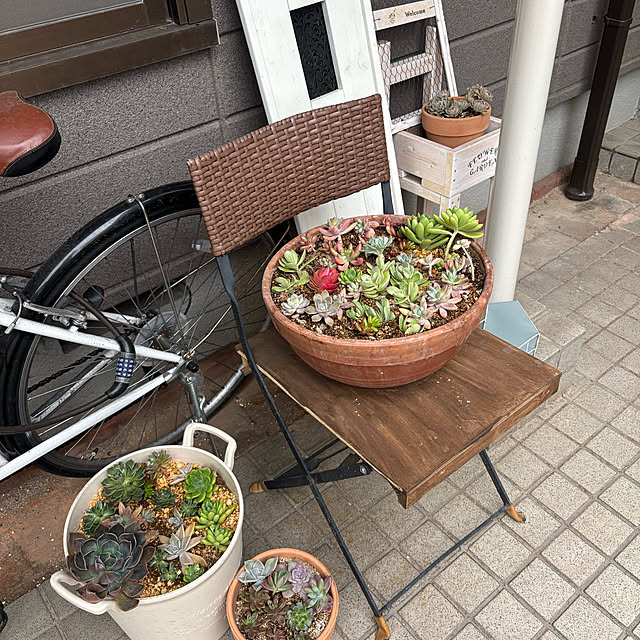 momocchiさんの部屋