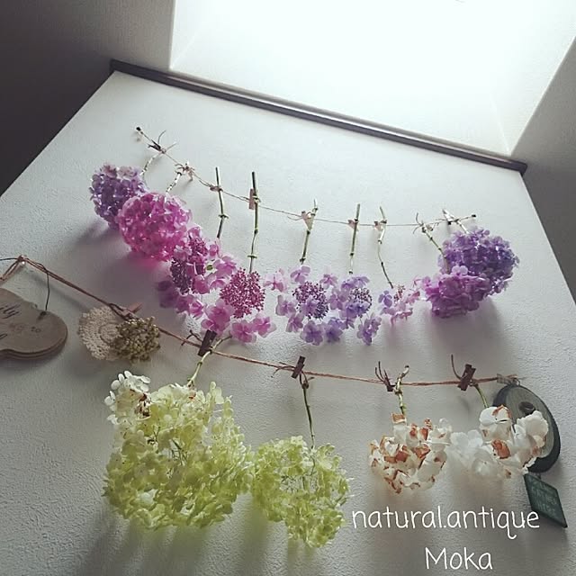 Mokaさんの実例写真