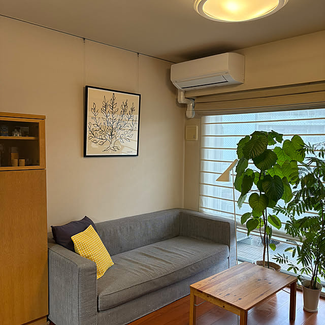 wwwさんの実例写真