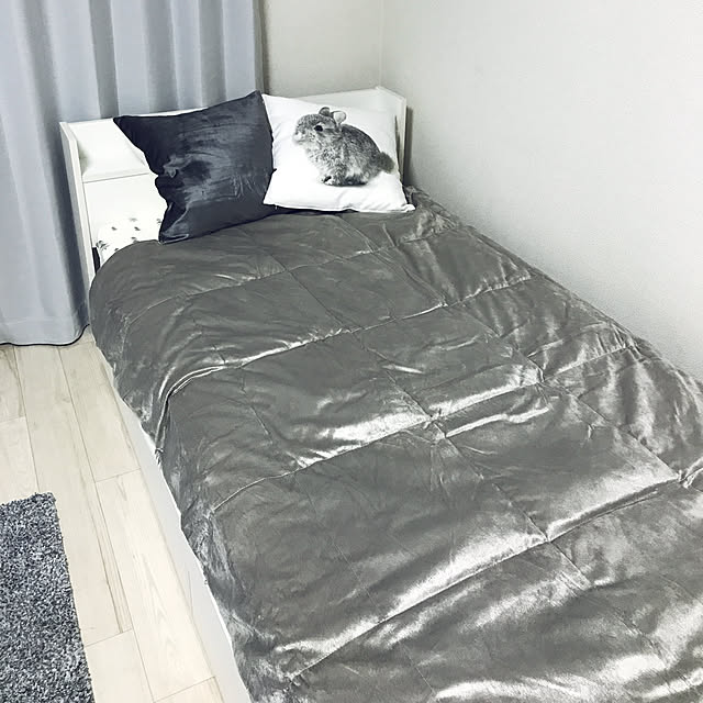 iga_bs_910さんの実例写真