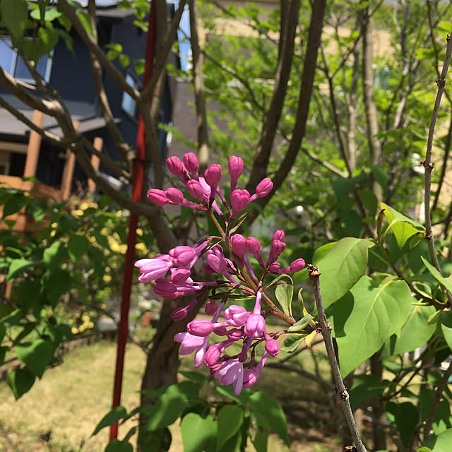 kojimasaさんの部屋
