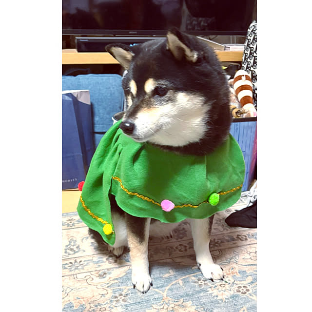 mo-nosukeさんの部屋