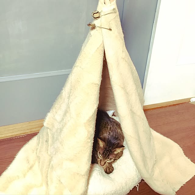 Norikoさんの実例写真