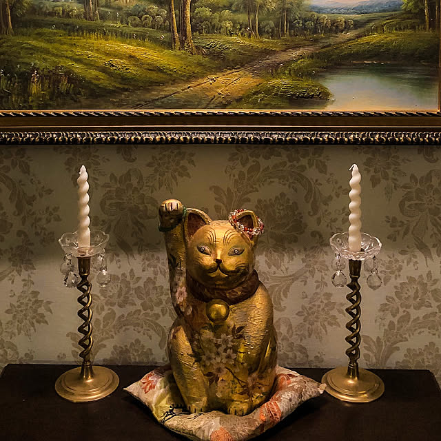 Toruさんの実例写真