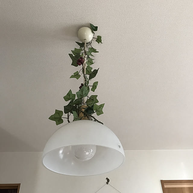 h_furushoさんの部屋