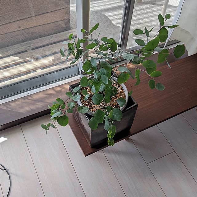 mi-saさんの実例写真