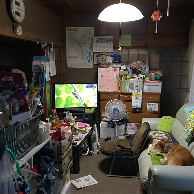 実例写真