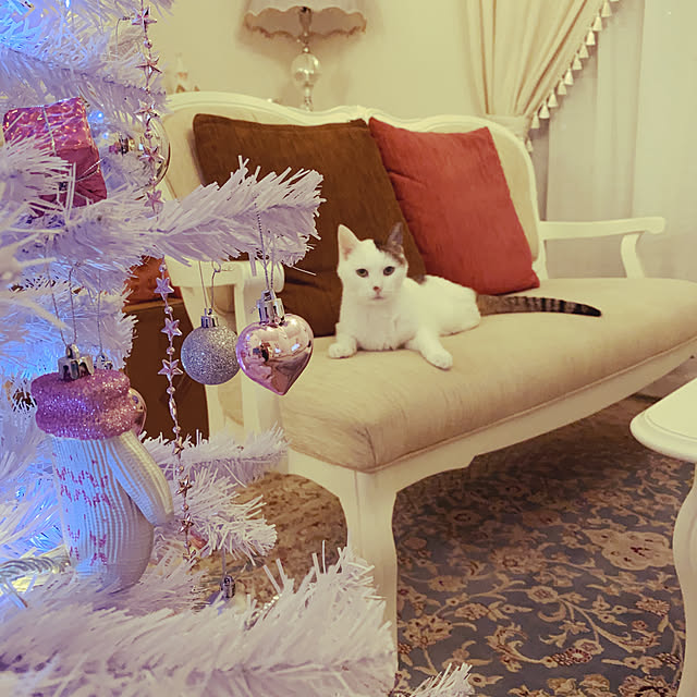coedodecoさんの実例写真