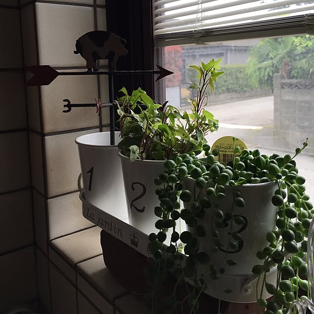 yukikkoさんの実例写真
