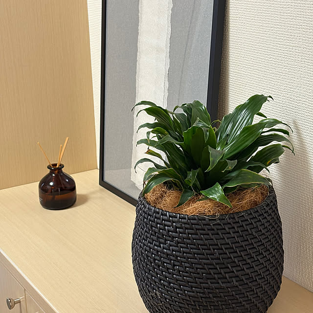 nao525さんの実例写真