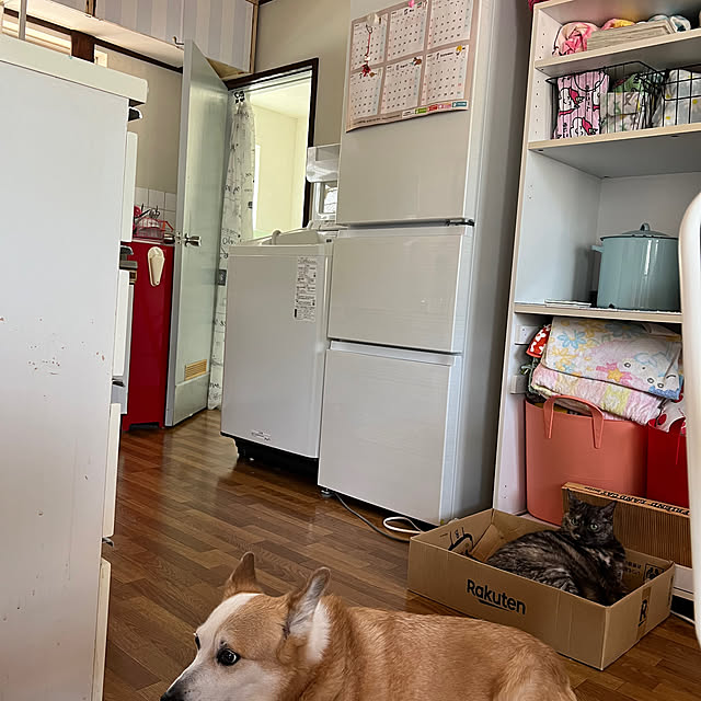 SIROさんの実例写真