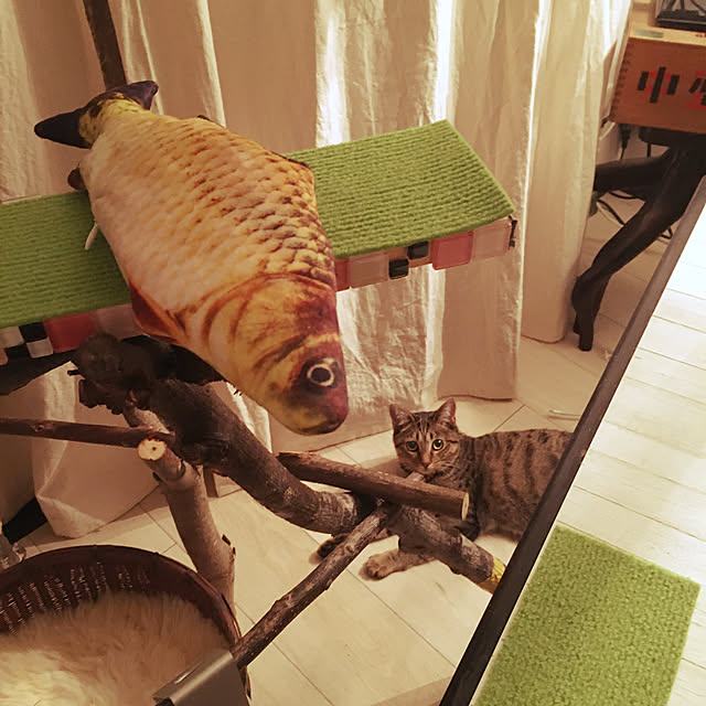 Mさんの実例写真