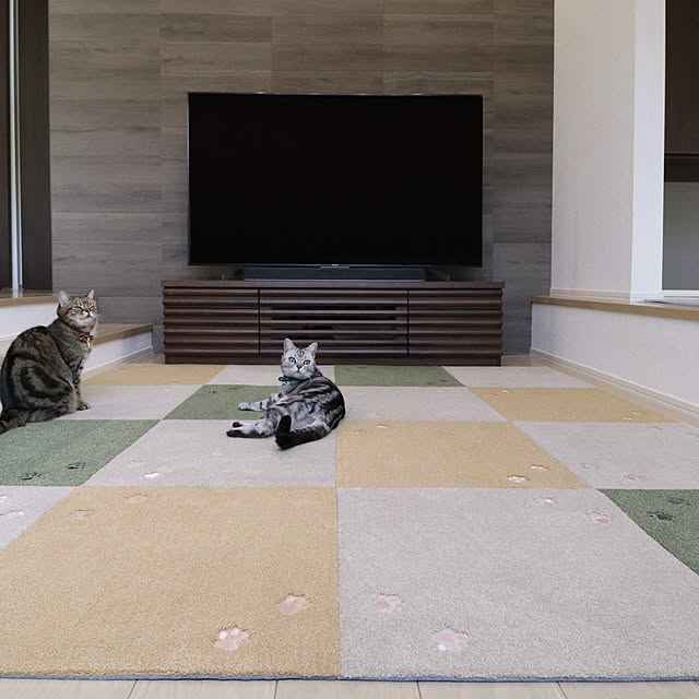 NANACOCOさんの実例写真