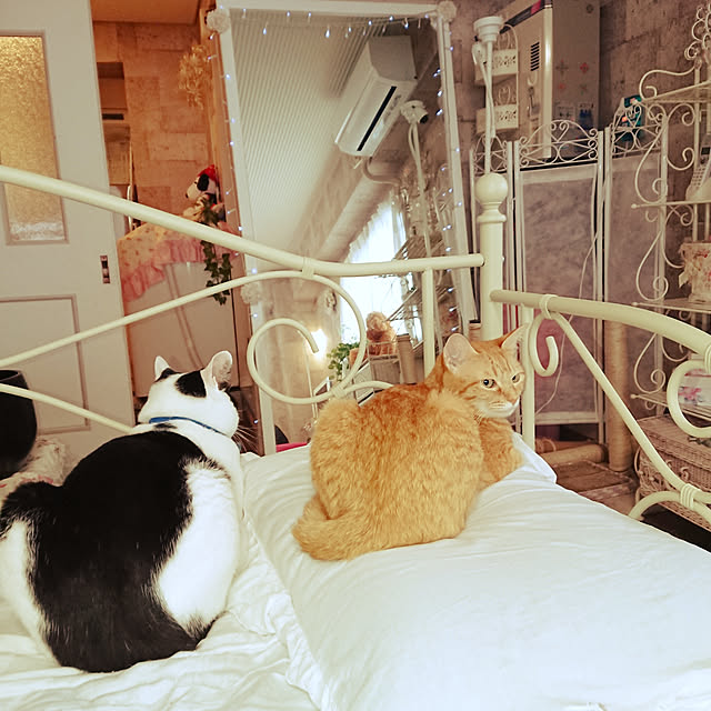 asuminさんの実例写真