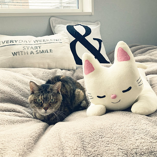 minminさんの実例写真
