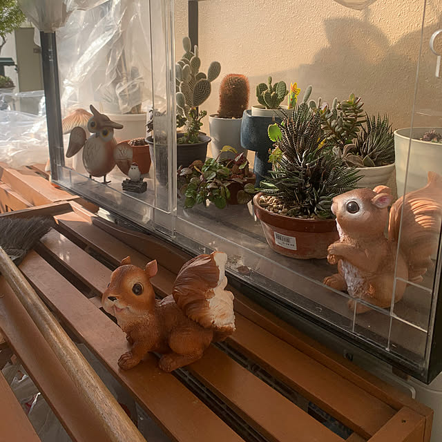 Aqettyさんの部屋