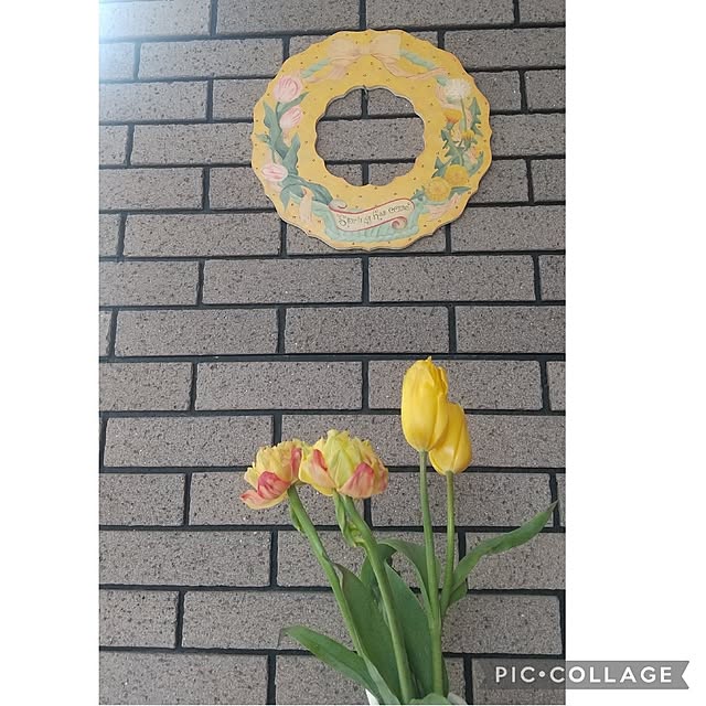 Rさんの実例写真
