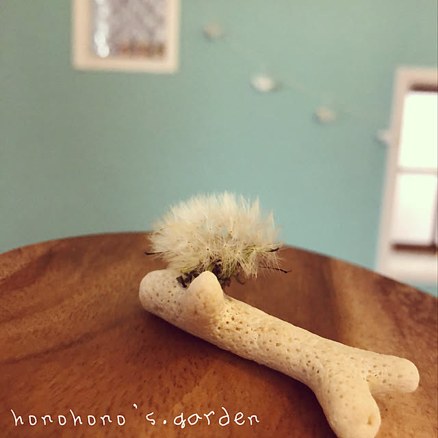 honohonoさんの実例写真