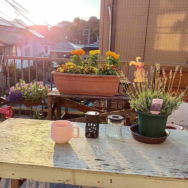 Yukikokoさんの実例写真