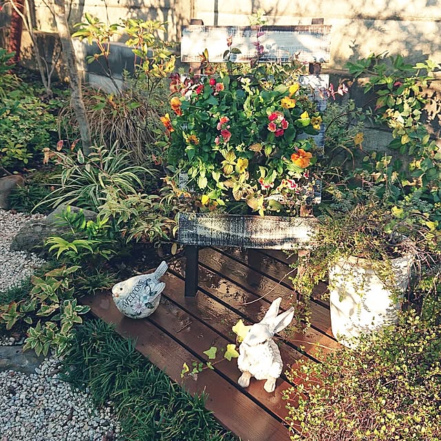 asaさんの部屋