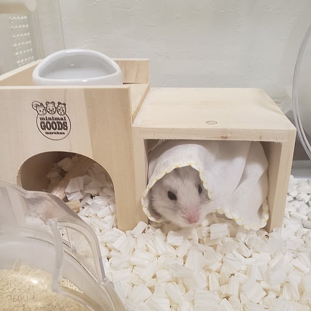 Fikaさんの実例写真