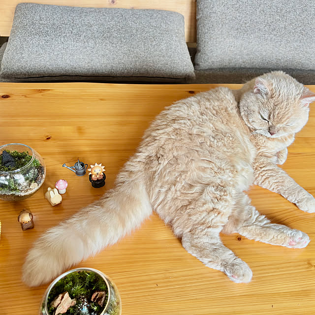 naokoさんの部屋