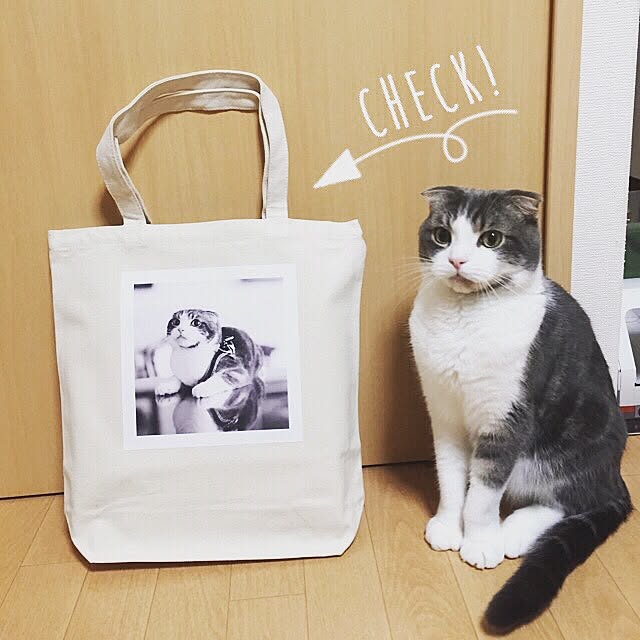 tansukeさんの実例写真